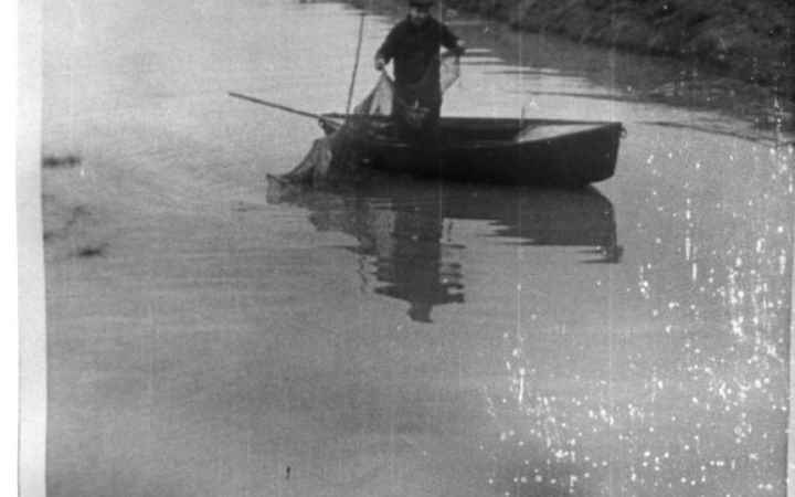 archivos_historicos_x115x