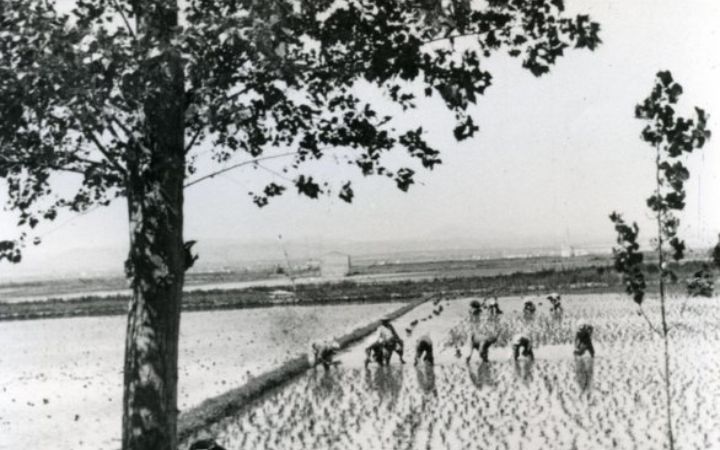 archivos_historicos_x121x