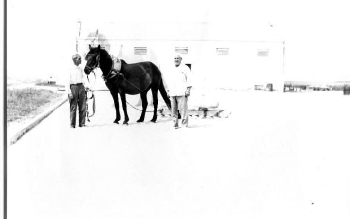 archivos_historicos_x123x