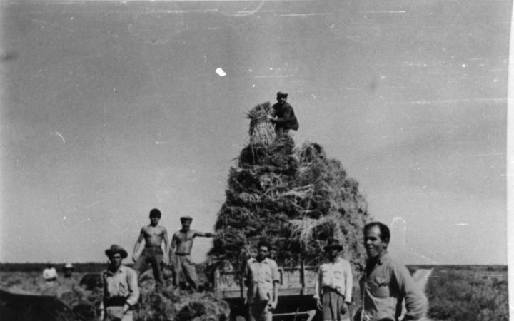 archivos_historicos_x140x