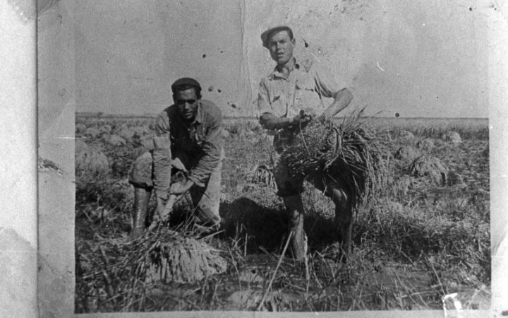 archivos_historicos_x144x