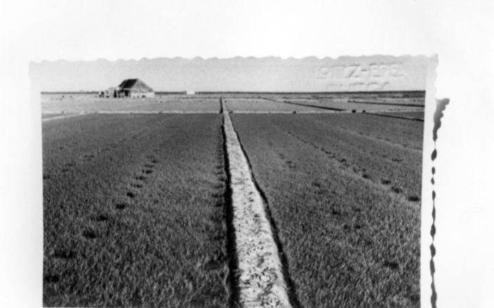 archivos_historicos_x14x