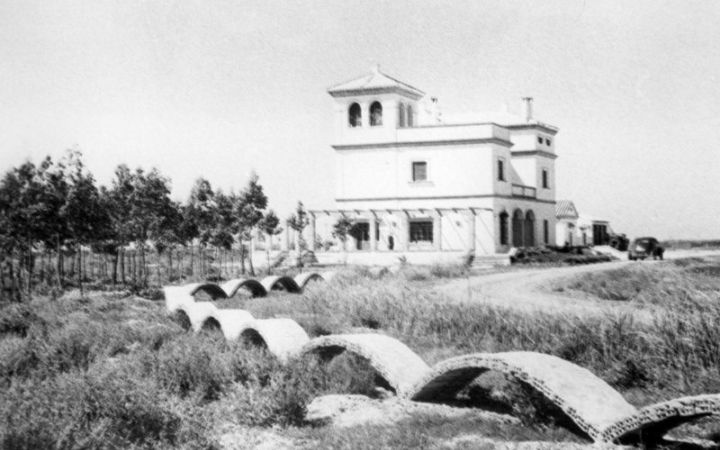 archivos_historicos_x154x