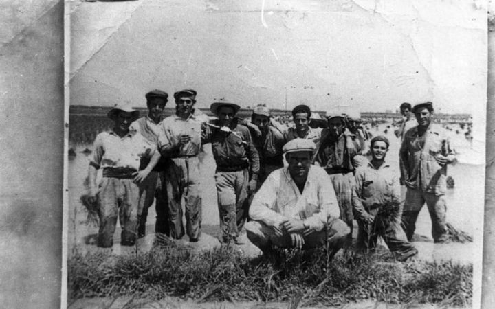 archivos_historicos_x156x