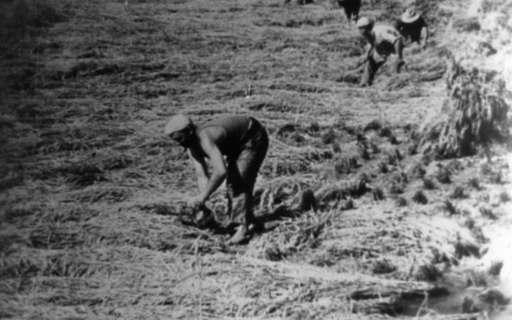 archivos_historicos_x157x