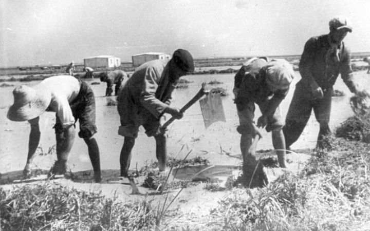 archivos_historicos_x164x