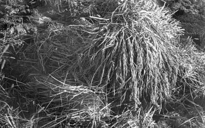 archivos_historicos_x180x