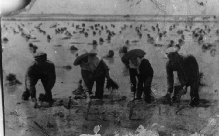 archivos_historicos_x184x