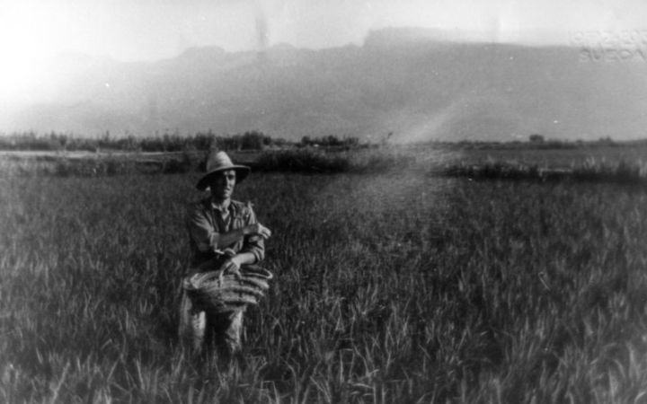 archivos_historicos_x189x