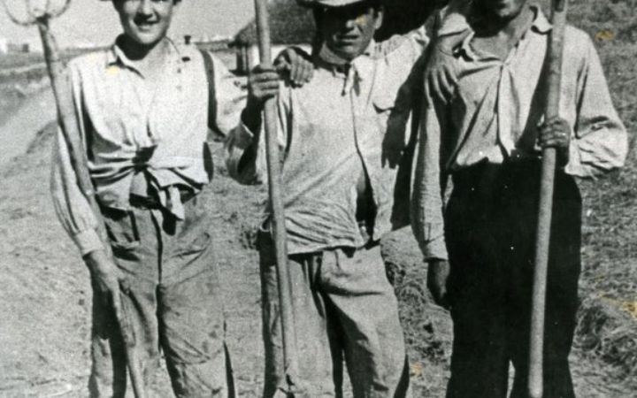 archivos_historicos_x193x