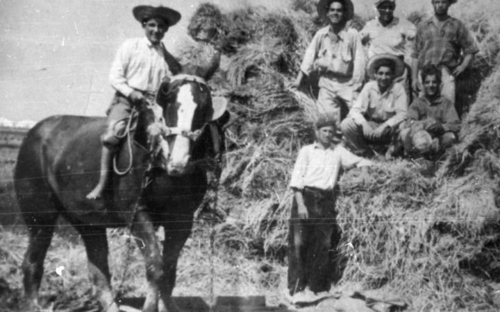 archivos_historicos_x194x