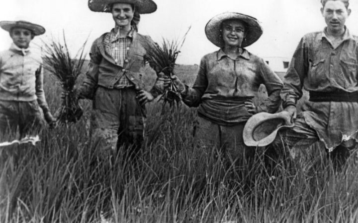 archivos_historicos_x195x