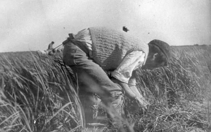 archivos_historicos_x197x