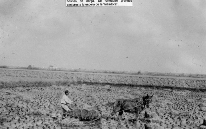 archivos_historicos_x199x