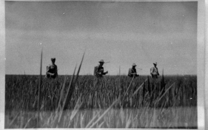 archivos_historicos_x1x