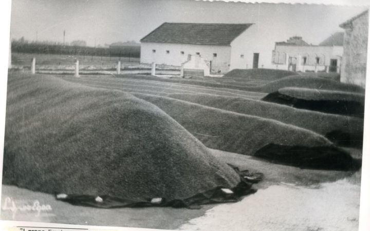 archivos_historicos_x208x