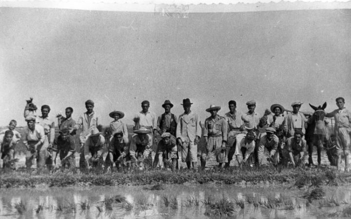 archivos_historicos_x214x