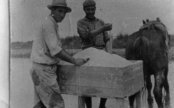 archivos_historicos_x216x