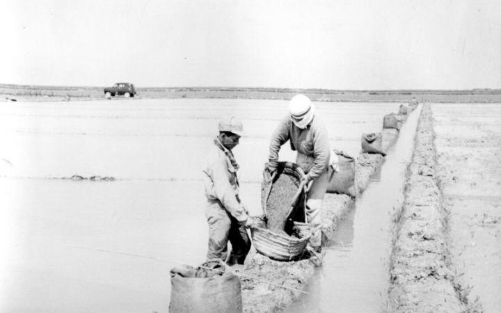 archivos_historicos_x220x