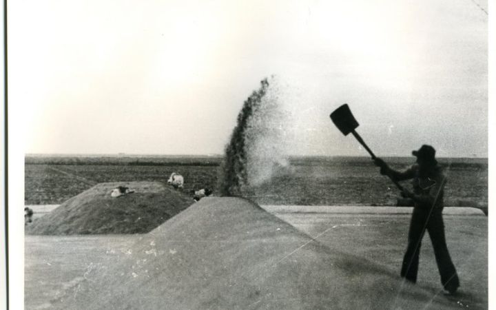 archivos_historicos_x221x