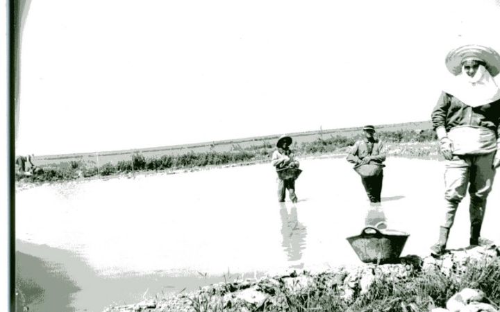 archivos_historicos_x222x