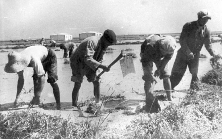 archivos_historicos_x229x