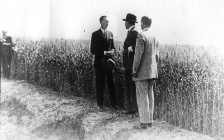 archivos_historicos_x234x