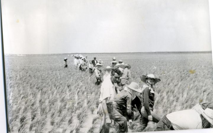 archivos_historicos_x246x