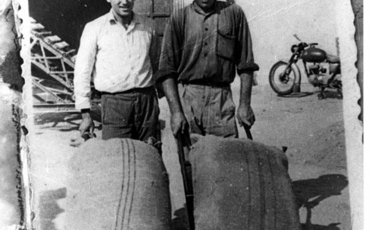 archivos_historicos_x249x