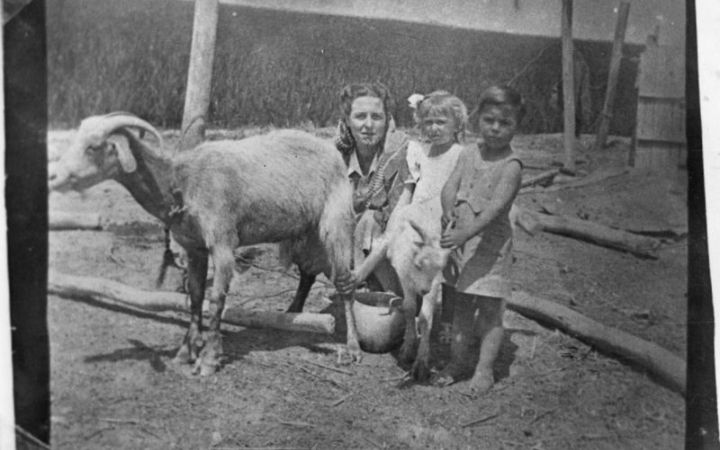 archivos_historicos_x257x