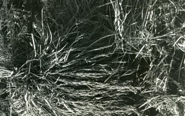 archivos_historicos_x262x