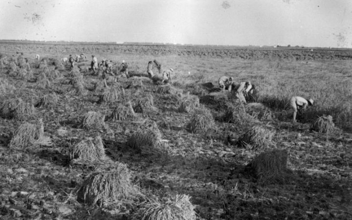 archivos_historicos_x263x