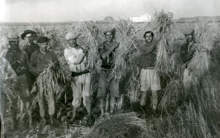 archivos_historicos_x264x