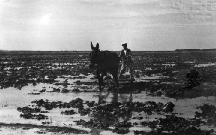 archivos_historicos_x265x