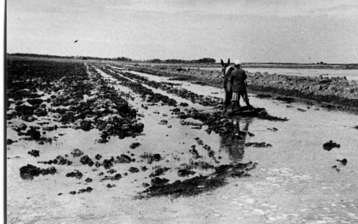 archivos_historicos_x266x