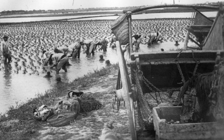 archivos_historicos_x26x