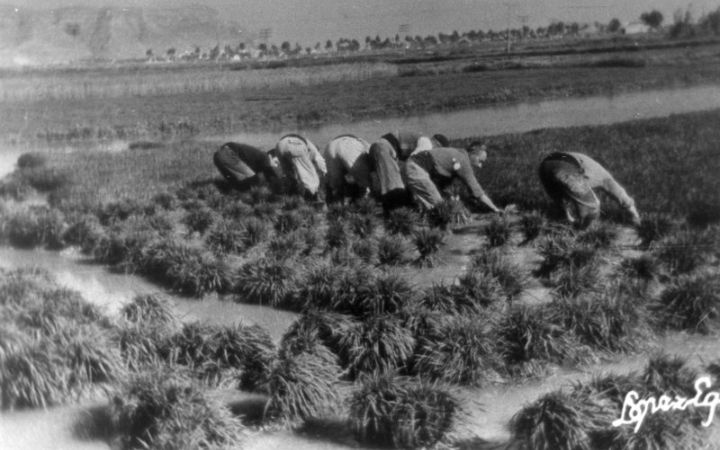 archivos_historicos_x275x