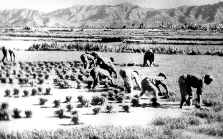 archivos_historicos_x276x