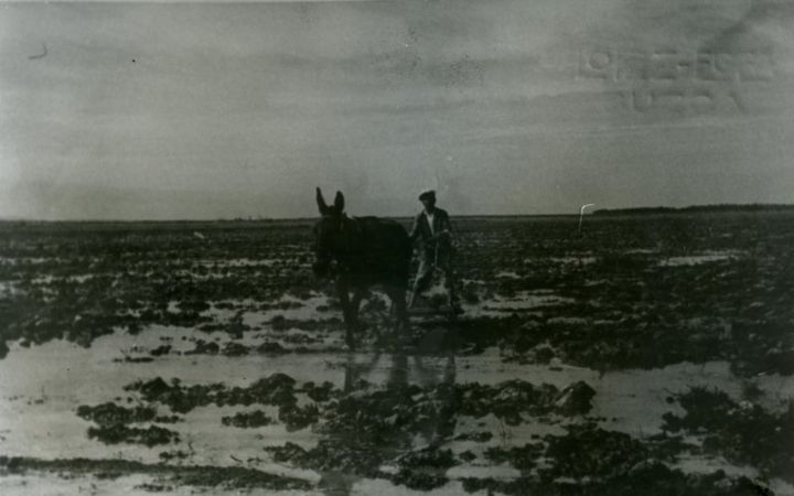 archivos_historicos_x280x