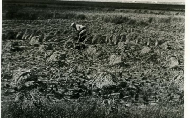 archivos_historicos_x282x