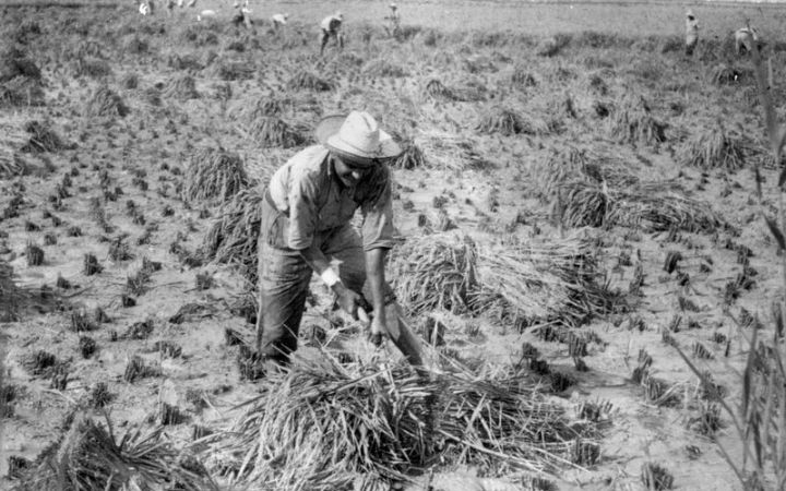 archivos_historicos_x284x