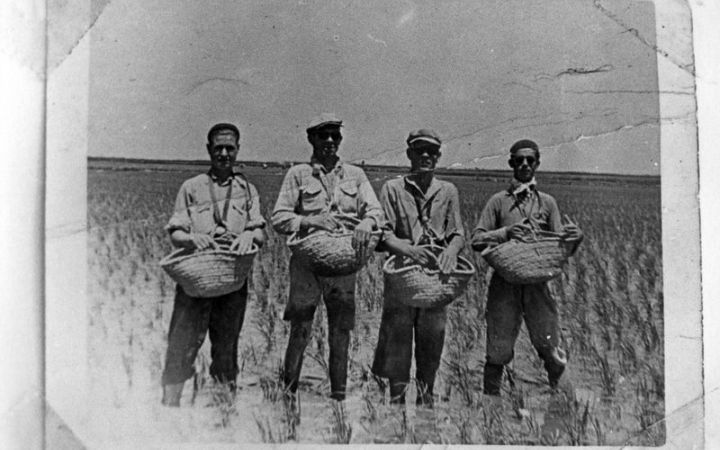 archivos_historicos_x285x