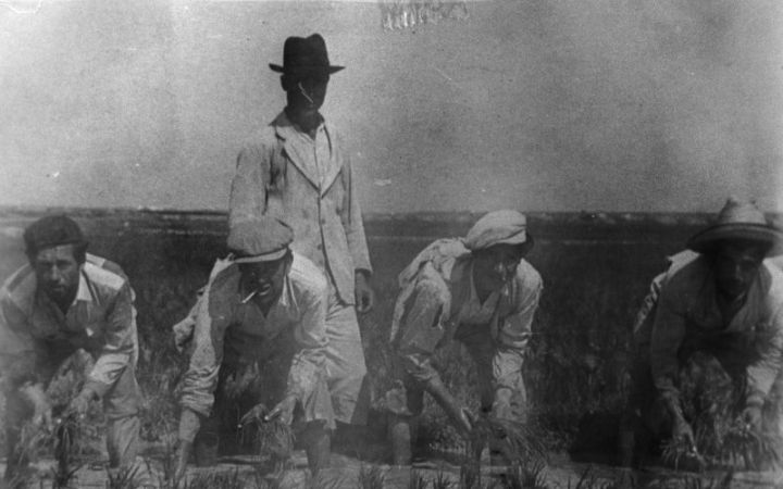 archivos_historicos_x288x