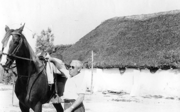 archivos_historicos_x294x