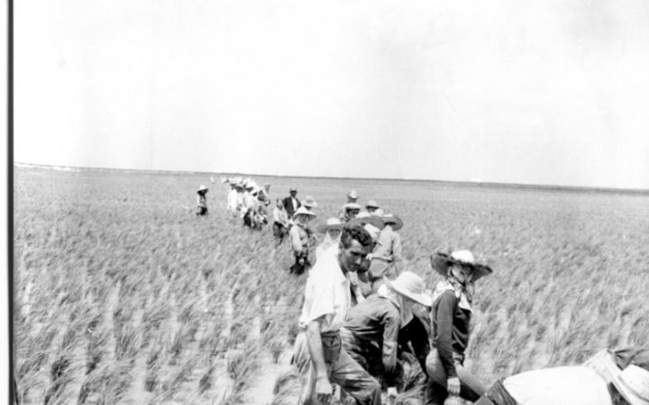 archivos_historicos_x296x