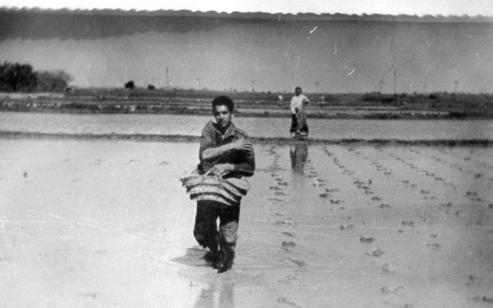 archivos_historicos_x29x