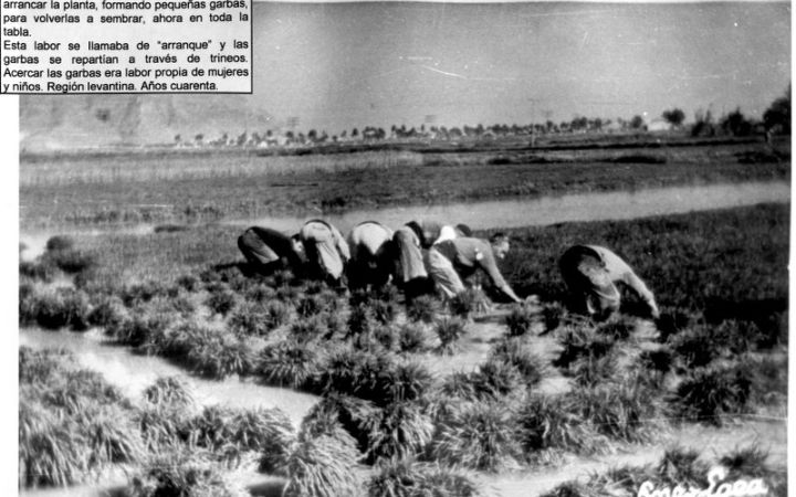 archivos_historicos_x300x