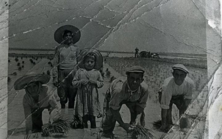 archivos_historicos_x302x