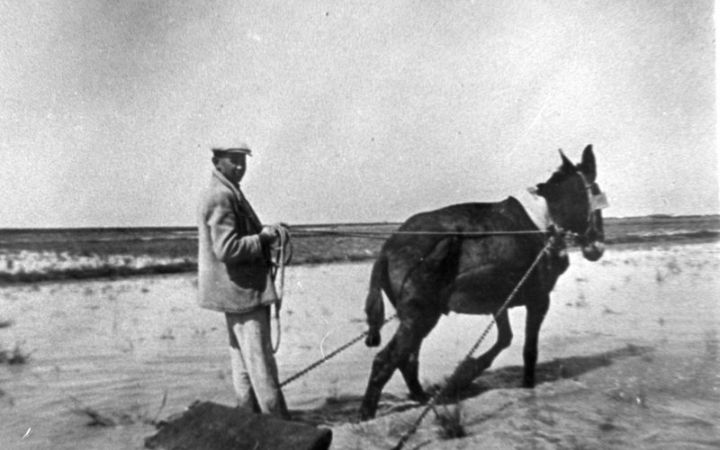 archivos_historicos_x303x