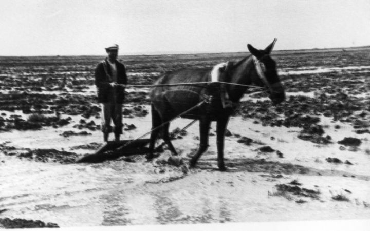 archivos_historicos_x304x